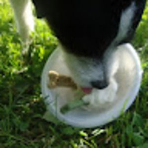 Meet your Posher, Jess